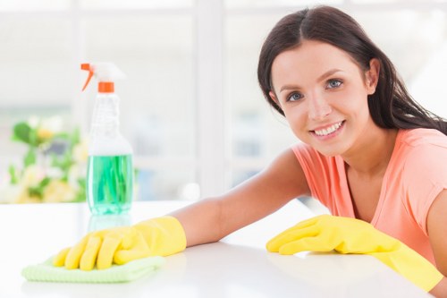 Professional cleaners maintaining an office space in Jasmine