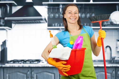 Clean and sanitized kitchen prepared by Jasmine cleaners