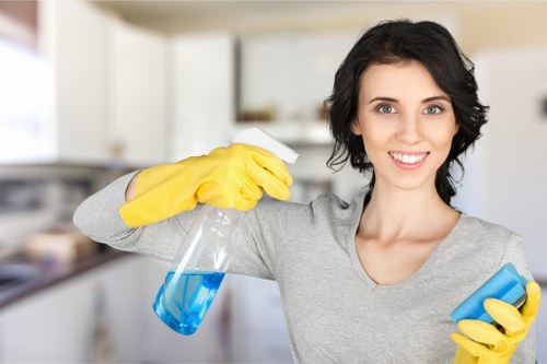 Logo-style image representing House Cleaners Jasmine