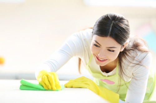 Eco-friendly cleaning products used by Jasmine house cleaners