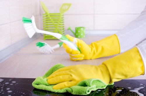 Man mopping laminate flooring with eco-friendly solution