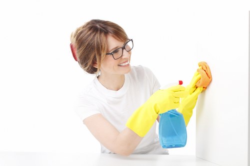 Professional technician cleaning a fabric couch with specialized equipment