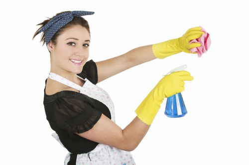Deep cleaning process for various rug types