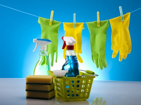 Cleaning experts at work in a modern Jasmine home