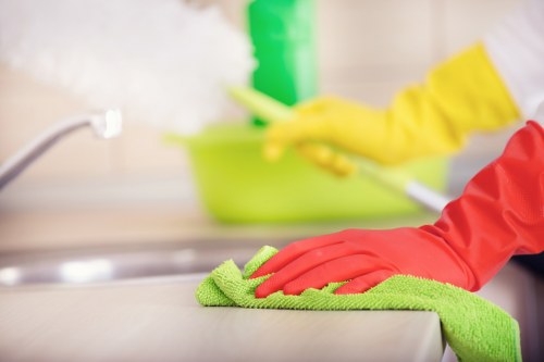 Eco-friendly cleaning products used by Jasmine house cleaning services